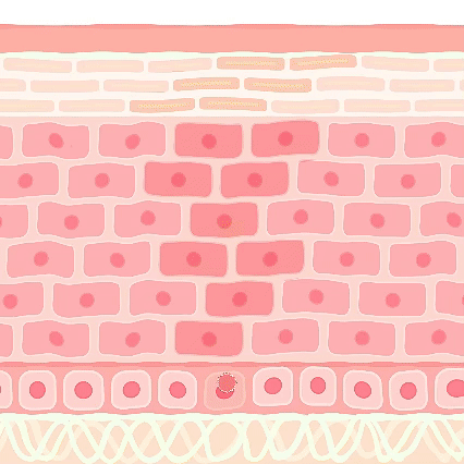 Shrinks Pores & Fades Blemish Marks